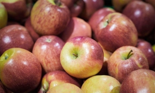 Táo châu Âu bị phát hiện chứa nhiều dư lượng thuốc trừ sâu độc hại