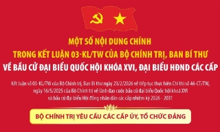 Kết luận 03-KL/TW của Bộ Chính trị, Ban Bí thư về lãnh đạo công tác bầu cử