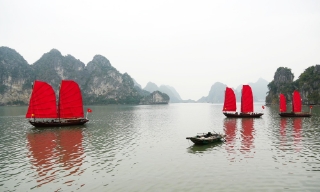 Ngày Thơ Việt Nam 2026: “Trước biển lớn” và khát vọng vươn mình