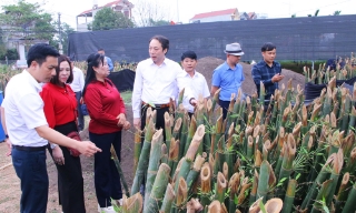 Ra mắt Hợp tác xã sản xuất nông lâm nghiệp công nghệ cao Ngọc Thiện