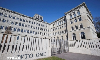 Đàm phán của WTO rơi vào bế tắc, không đạt thỏa thuận về những vấn đề cốt lõi