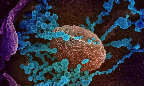 Giới chuyên gia nhận định mức độ nguy hiểm của biến thể mới virus SARS-CoV-2