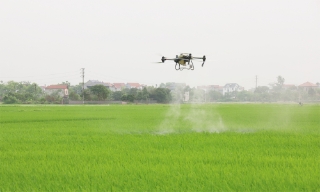 Xã Xuân Cẩm: Trình diễn phun thuốc bảo vệ thực vật bằng thiết bị bay không người lái 