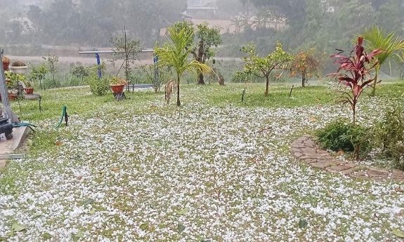 Giông lốc, mưa đá khiến 5 người bị thương, 350 nhà tốc mái