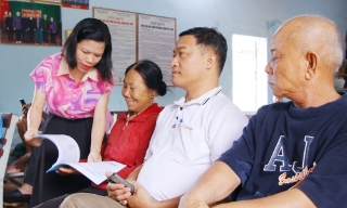 Xã Phúc Hòa đưa giải pháp IMO vào sản xuất vải thiều chất lượng cao