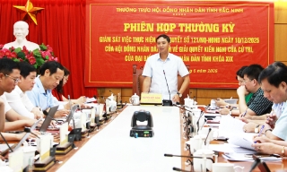 Thường trực HĐND tỉnh Bắc Ninh giám sát kết quả giải quyết kiến nghị của cử tri