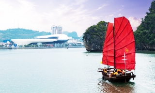 Tour trải nghiệm thuyền ba vách trên vịnh Hạ Long