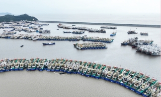 Bão Dolphin áp sát Trung Quốc, hàng loạt chuyến bay, phà bị hủy
