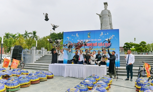 Sôi nổi Hội thi thả chim bồ câu tỉnh Bắc Ninh