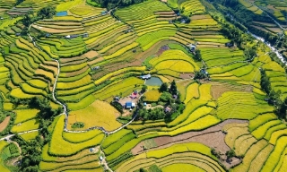 Ngày hội "Mùa vàng Tả Lèng" ở Lai Châu