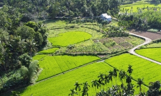 Cội nguồn xứ Quảng trong nhân cách cụ Huỳnh Thúc Kháng