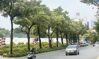 Bắc Bộ có khả năng đón không khí lạnh yếu từ ngày 19 - 21/10