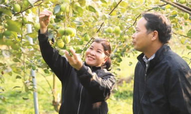  Xã Đại Sơn: Giữ gìn bản sắc, làm nông nghiệp bền vững