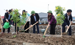 Nét đẹp văn hóa Tết trồng cây