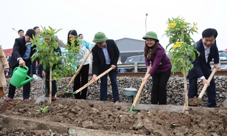  Nét đẹp văn hóa Tết trồng cây