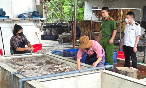  Bắc Ninh: Phát hiện hơn 3 tấn lòng lợn thối chuẩn bị tiêu thụ ra thị trường