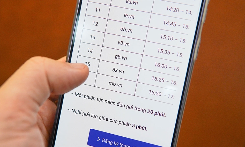  77 tên miền hiếm sắp được đấu giá