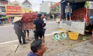 Bắc Ninh: Bảo đảm an toàn giao thông phục vụ mùa vải thiều 2026