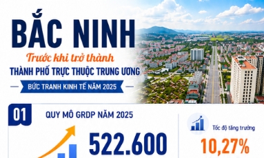  Bức tranh kinh tế Bắc Ninh trước khi trở thành thành phố trực thuộc Trung ương