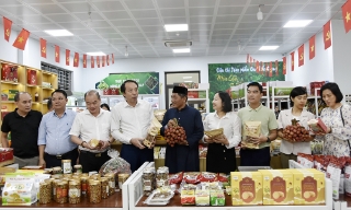 Phát triển hệ sinh thái Halal cho khu vực kinh tế tập thể Bắc Ninh