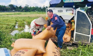 Bắc Ninh: Xã vùng cao Sơn Động khẩn trương ứng phó với bão số 1