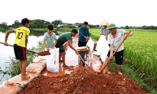  Phúc Hòa khẩn trương ngăn nước lũ, bảo vệ đồng ruộng
