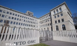 WTO trước yêu cầu thích ứng với trật tự thương mại ưu tiên an ninh quốc gia