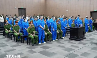 Cựu Viện trưởng Viện Pháp y tâm thần Trung ương bị đề nghị phạt 20 năm tù