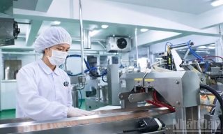 Tổ chức nhiều hoạt động hưởng ứng Ngày Kỹ năng lao động Việt Nam năm 2026