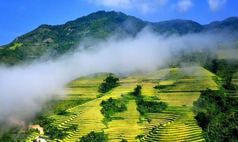  Việt Nam vào top 10 điểm đến được yêu thích nhất thế giới năm 2026