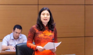 Đoàn đại biểu Quốc hội thành phố Bắc Ninh góp ý vào các dự thảo Luật