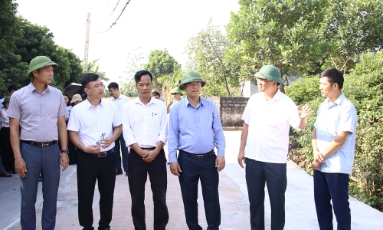  Phó Chủ tịch UBND thành phố Phan Thế Tuấn kiểm tra việc triển khai hỗ trợ làm đường giao thông tại 5 xã, phường