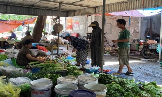 Bắc Ninh: Nguồn cung sụt giảm do lũ lụt, giá rau xanh tăng mạnh 