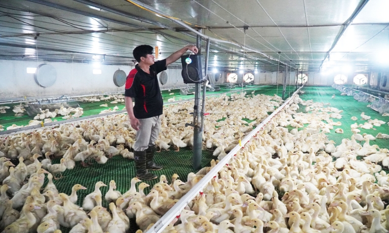  Bắc Ninh có 3 cá nhân được tôn vinh nông dân Việt Nam xuất sắc và nhà khoa học của nhà nông