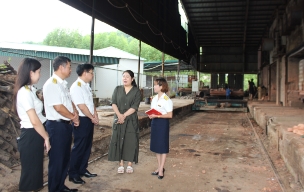 Thu tiền sử dụng đất tăng gấp 2,3 lần so với cùng kỳ năm trước