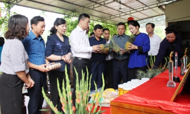  Phó Bí thư Tỉnh ủy Trần Huy Phương thăm các mô hình nông nghiệp tiêu biểu tại xã Kép