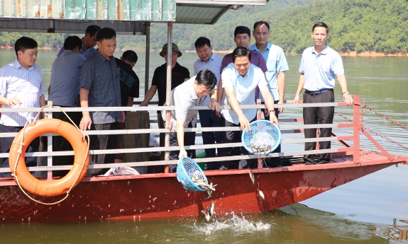 Thả 10 tấn cá giống tái tạo nguồn lợi thuỷ sản