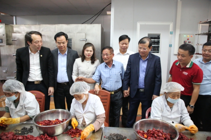  Quan tâm hỗ trợ, tạo điều kiện thuận lợi cho các hợp tác xã phát triển sản xuất, kinh doanh