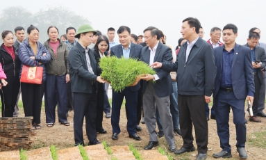  Cơ giới hoá đồng bộ trong sản xuất và canh tác lúa theo hướng tuần hoàn