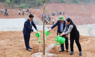 Sở Nông nghiệp và Môi trường: Phát động Tết trồng cây