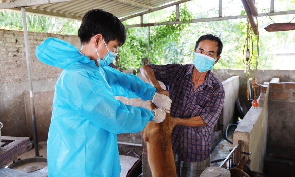 Bắc Ninh: Nắng nóng gay gắt, khẩn cấp phòng chống bệnh dại