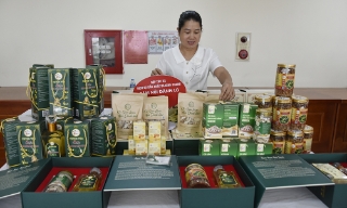 Phúc Hòa phát triển kinh tế tập thể góp phần giảm nghèo bền vững