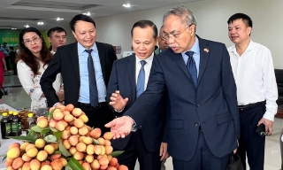 Thúc đẩy phát triển ngành Halal, mở rộng cơ hội xuất khẩu cho doanh nghiệp 