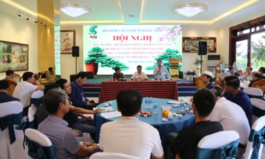 Triển khai kế hoạch trưng bày cây cảnh nghệ thuật chào mừng bầu cử đại biểu Quốc hội và Festival “ Về miền di sản 2026”