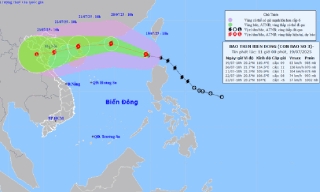 Bộ VHTTDL yêu cầu các đơn vị tập trung ứng phó với bão số 3 năm 2025