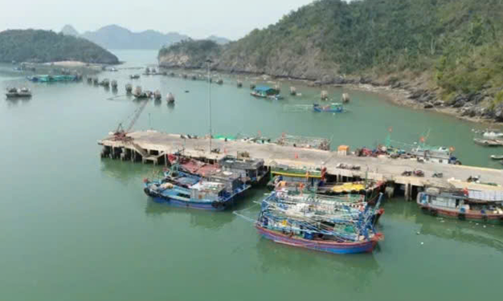  Nhiều tỉnh cấm biển, sơ tán dân ứng phó bão Wipha