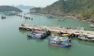 Nhiều tỉnh cấm biển, sơ tán dân ứng phó bão Wipha