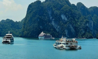 Quảng Ninh: Tạm dừng cấp phép đối với các phương tiện thủy vận chuyển khách trên địa bàn tỉnh