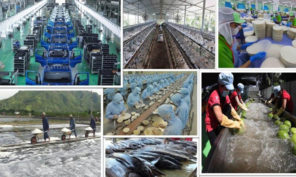 Kinh tế tư nhân là một động lực quan trọng nhất - Quan điểm đúng đắn, sáng tạo của Đảng ta