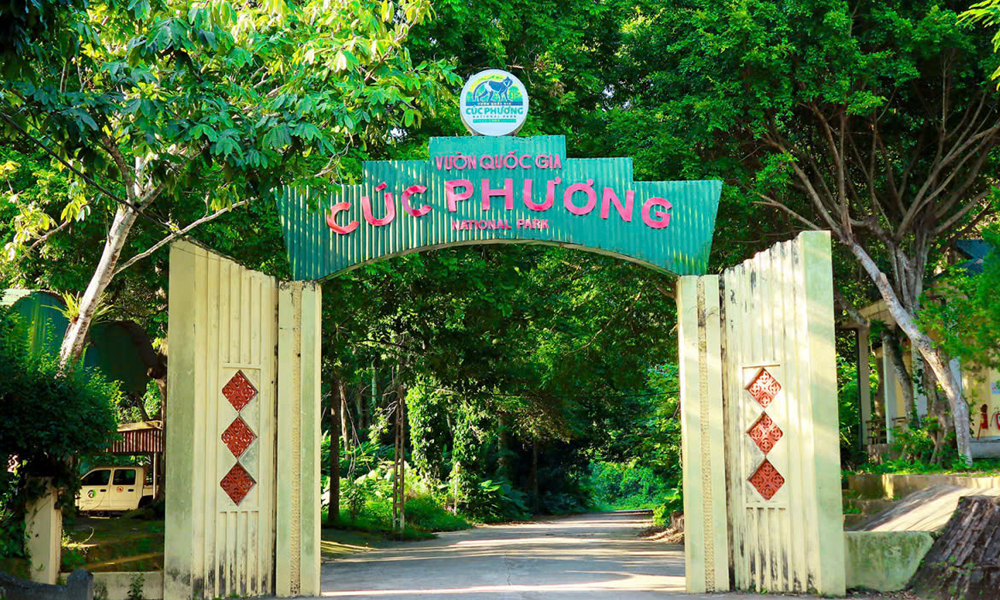  Hàng trăm người tích cực tìm kiếm nam du khách đi lạc trong Vườn quốc gia Cúc Phương